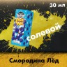Жидкость Picknic - Смородина Лед 20 мг (30 мл)