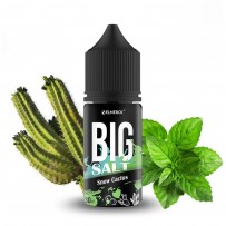 Жидкость Big Salt Hard - Snow Cactus 30 мл (20 мг)