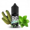 Жидкость Big Salt Hard - Snow Cactus 30 мл (20 мг)